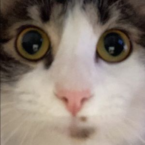 Meet your Posher, Aidan